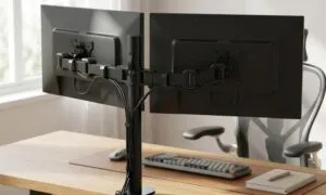 61mqu6jWwmL. SL1500