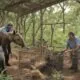 Inside Vantaracares Reliances 3 000 Acre Wildlife Rescue Conservation Initiative 1789218698