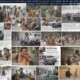 Manorama Online Complete Overview Traffic Stats Apps And Awards 1789695666