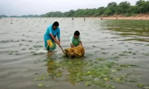 Mission Swachh Sagar Indias Drive To Clean The Oceans 1789713678