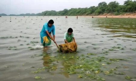 Mission Swachh Sagar Indias Drive To Clean The Oceans 1789713678