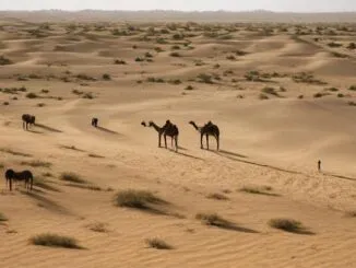 Thar Desert Explained Size Climate Wildlife People And Tourism 1790104254