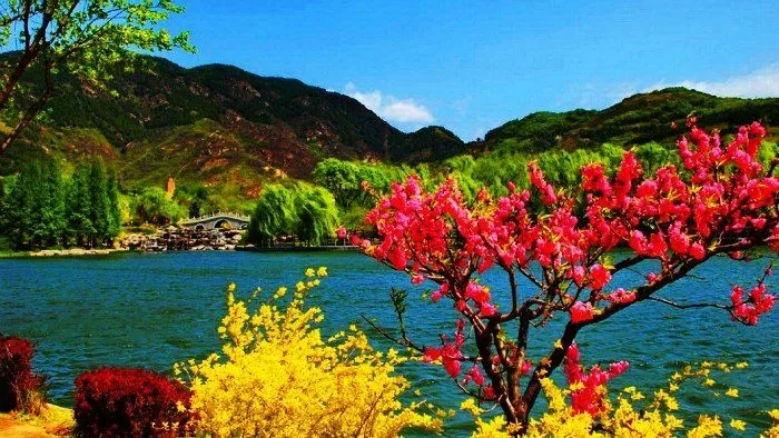 Valleys of Ever Changing Srinagar