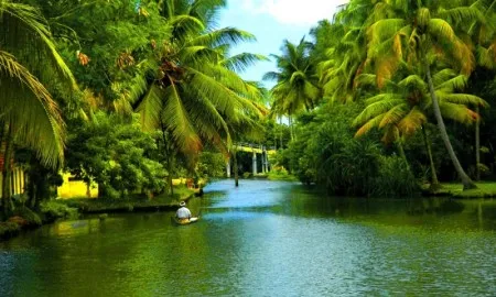 Backwaters Of Alappuzha In Kerala1