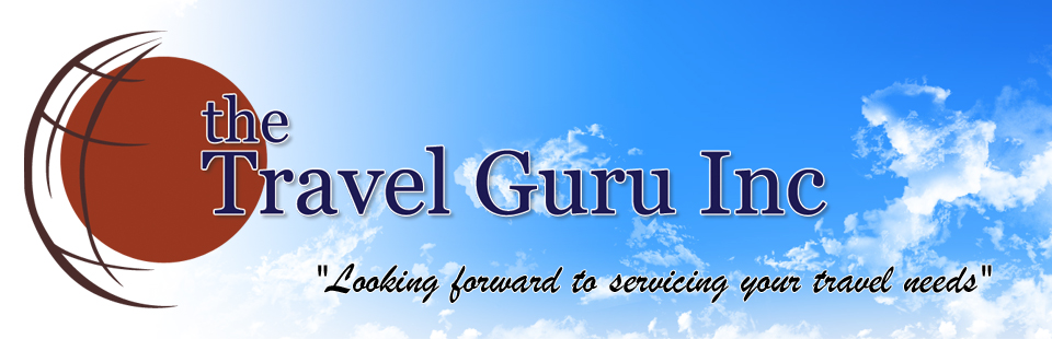 definition of travel guru